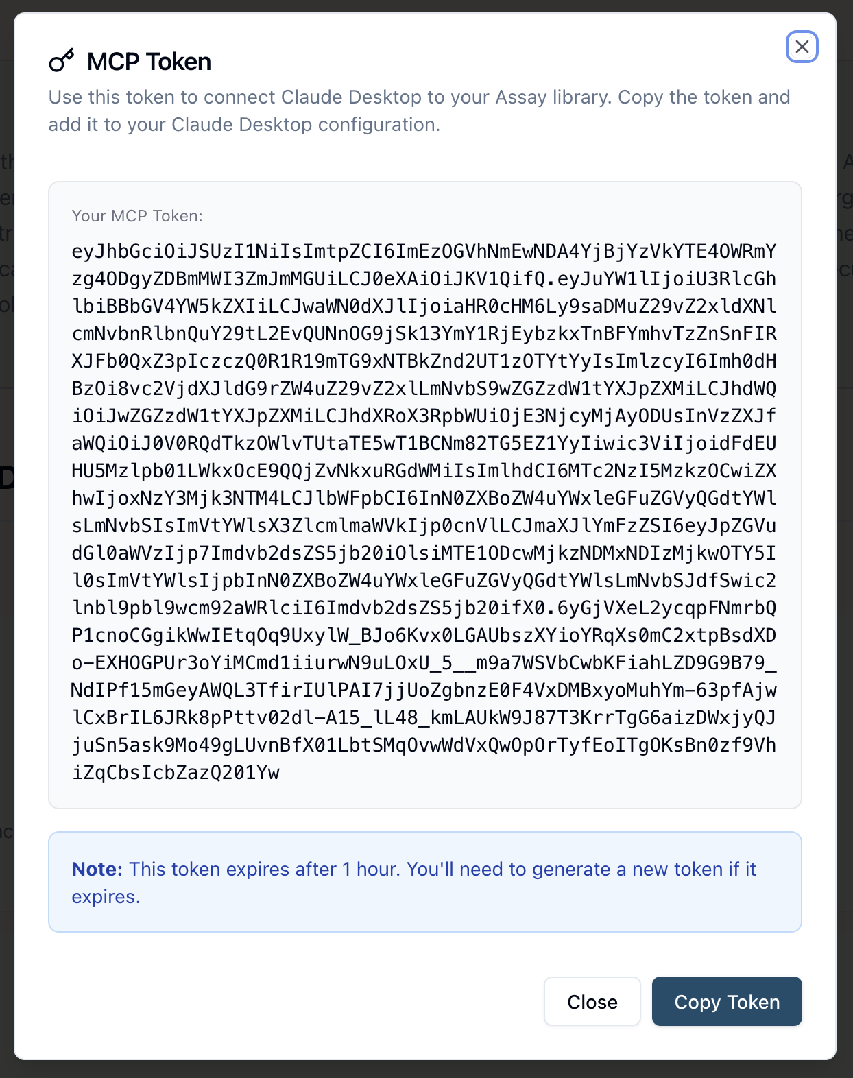 Assay MCP setup - screenshot showing how to retrieve MCP token from dashboard settings
